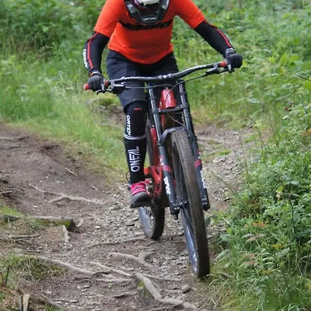 Ferienwohnung Downhill Am Bocksberg Гослар Экстерьер фото